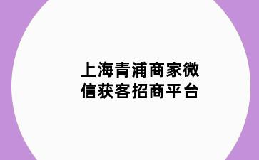 上海青浦商家微信获客招商平台