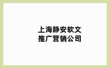 上海静安软文推广营销公司