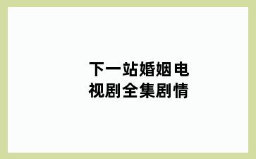 下一站婚姻电视剧全集剧情