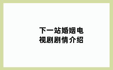 下一站婚姻电视剧剧情介绍