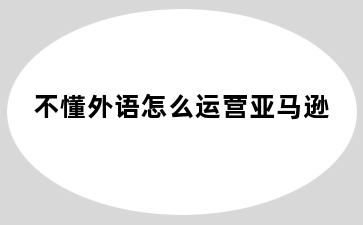 不懂外语怎么运营亚马逊