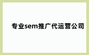 专业sem推广代运营公司