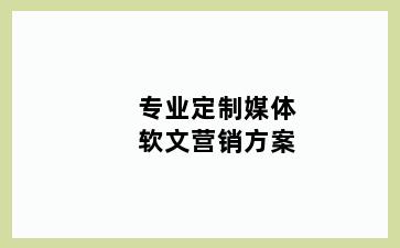 专业定制媒体软文营销方案