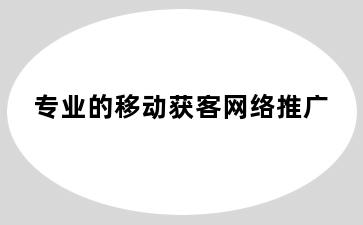 专业的移动获客网络推广