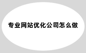 专业网站优化公司怎么做