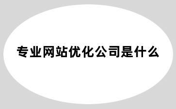 专业网站优化公司是什么