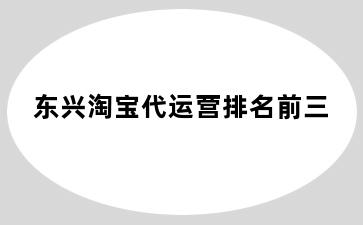 东兴淘宝代运营排名前三