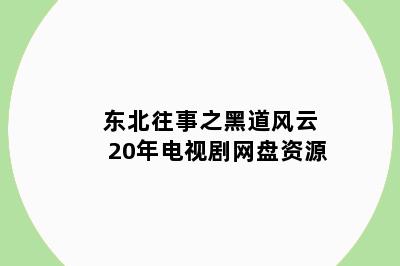 东北往事之黑道风云20年电视剧网盘资源