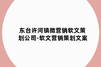 东台许河镇微营销软文策划公司-软文营销策划文案