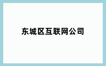 东城区互联网公司