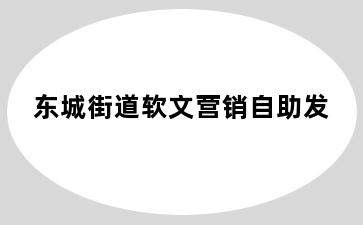 东城街道软文营销自助发