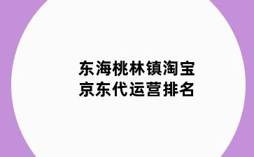 东海桃林镇淘宝京东代运营排名