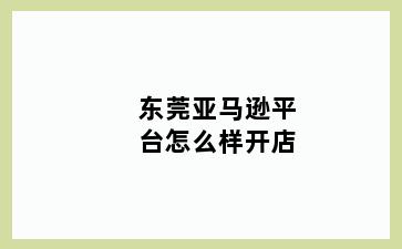 东莞亚马逊平台怎么样开店