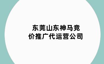 东莞山东神马竞价推广代运营公司