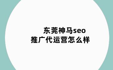 东莞神马seo推广代运营怎么样