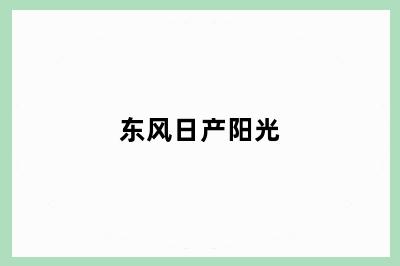 东风日产阳光