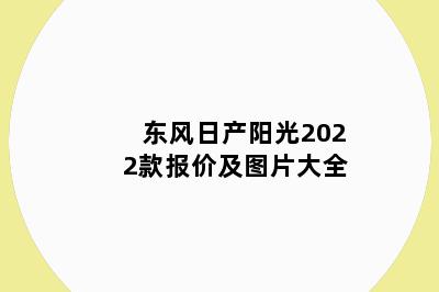 东风日产阳光2022款报价及图片大全