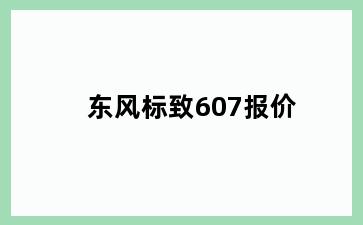 东风标致607报价