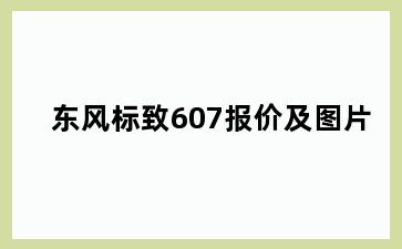 东风标致607报价及图片