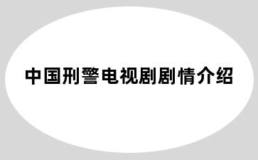 中国刑警电视剧剧情介绍