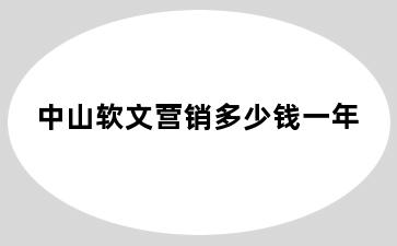 中山软文营销多少钱一年