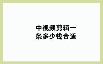 中视频剪辑一条多少钱合适