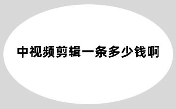 中视频剪辑一条多少钱啊