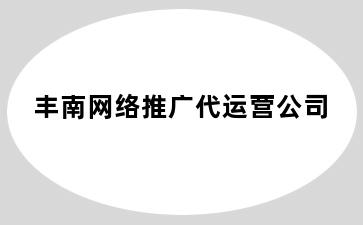 丰南网络推广代运营公司