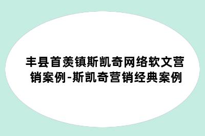 丰县首羡镇斯凯奇网络软文营销案例-斯凯奇营销经典案例