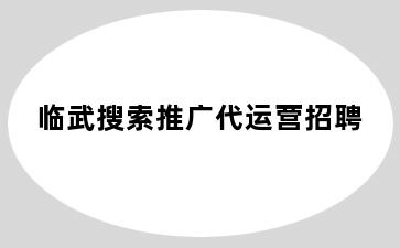 临武搜索推广代运营招聘