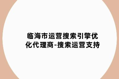 临海市运营搜索引擎优化代理商-搜索运营支持