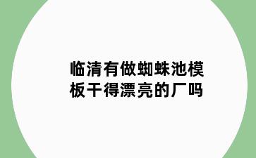 临清有做蜘蛛池模板干得漂亮的厂吗