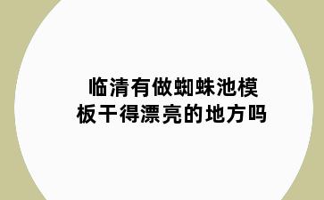 临清有做蜘蛛池模板干得漂亮的地方吗