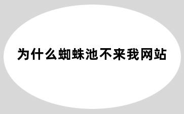 为什么蜘蛛池不来我网站