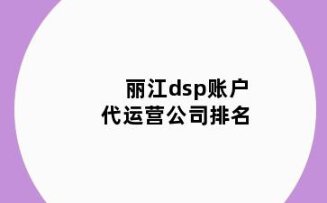 丽江dsp账户代运营公司排名