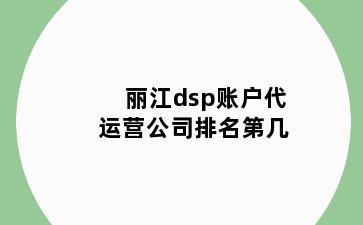 丽江dsp账户代运营公司排名第几