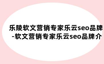 乐陵软文营销专家乐云seo品牌-软文营销专家乐云seo品牌介绍