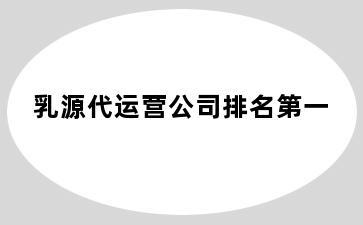 乳源代运营公司排名第一