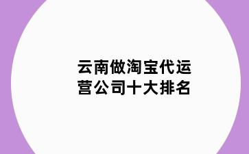 云南做淘宝代运营公司十大排名