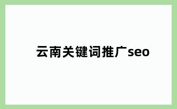 云南关键词推广seo