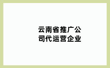 云南省推广公司代运营企业