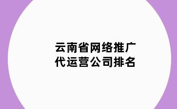 云南省网络推广代运营公司排名