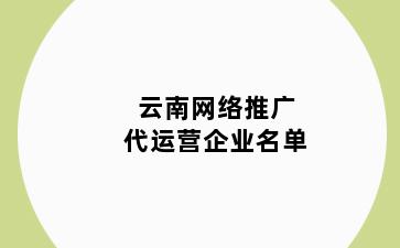 云南网络推广代运营企业名单