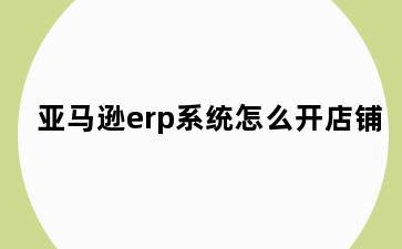 亚马逊erp系统怎么开店铺