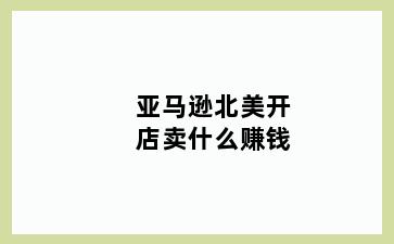 亚马逊北美开店卖什么赚钱