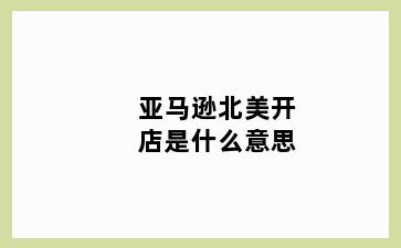 亚马逊北美开店是什么意思