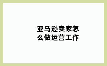 亚马逊卖家怎么做运营工作