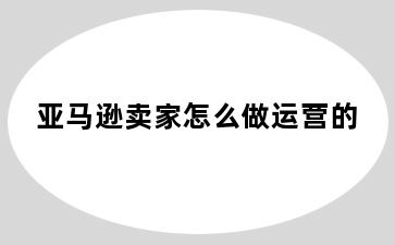 亚马逊卖家怎么做运营的