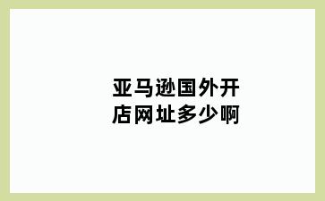 亚马逊国外开店网址多少啊