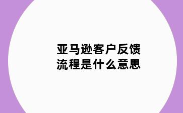 亚马逊客户反馈流程是什么意思